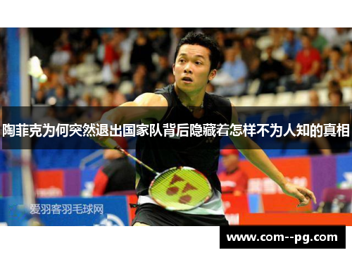 陶菲克为何突然退出国家队背后隐藏着怎样不为人知的真相